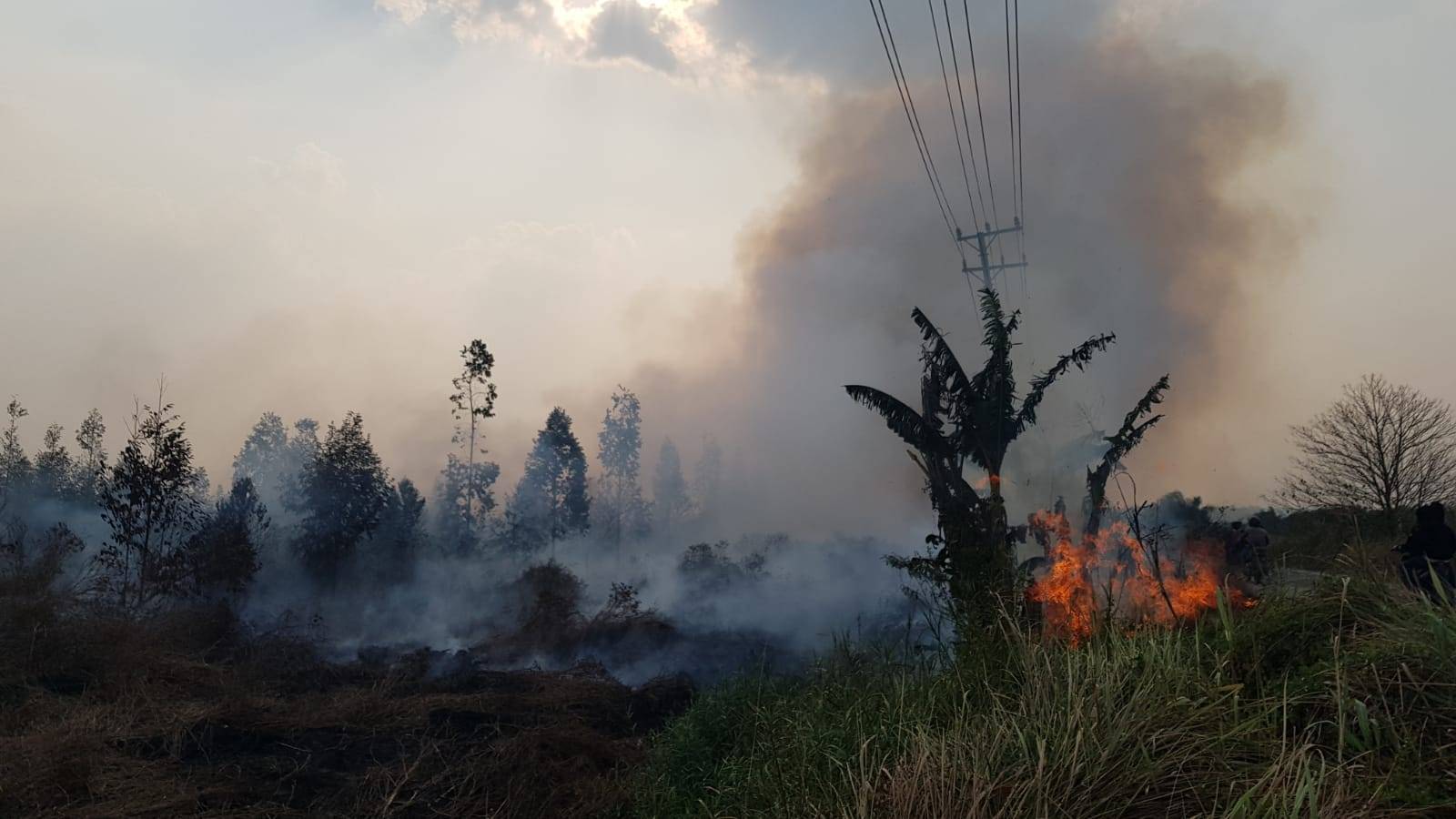 No smoke from fires crossing into neighbouring nations, Indonesia reiterates