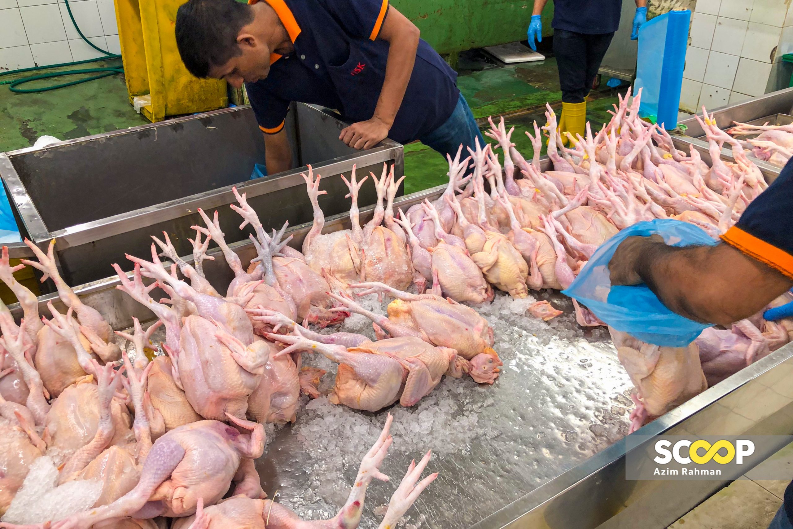 Harga ayam menurun susulan pelaksanaan apungan harga