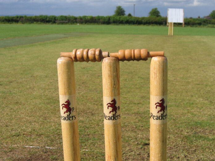 20230113-cricket_generic_stumps-pixabay