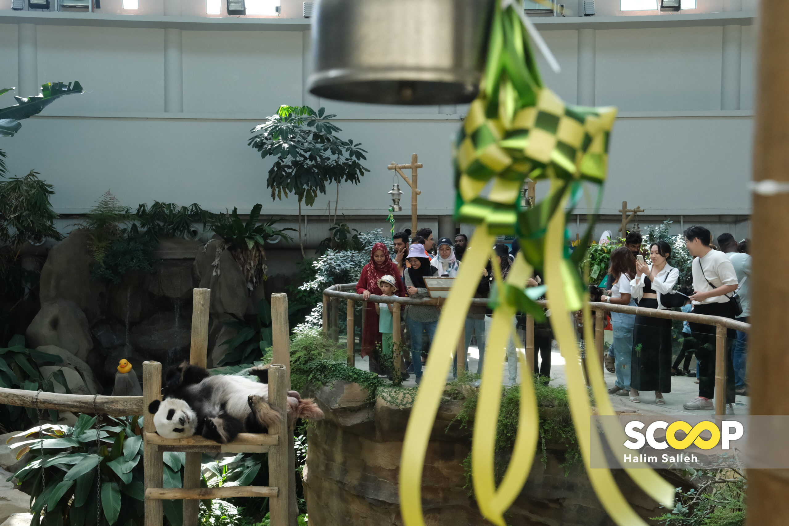 Photo of the day: Family fun at Zoo Negara as Malaysians embrace long Aldilfitri break