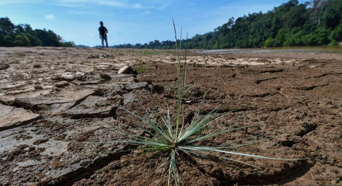 Unprecedented effects: El Niño wreaks havoc on Malaysia's agriculture, economy