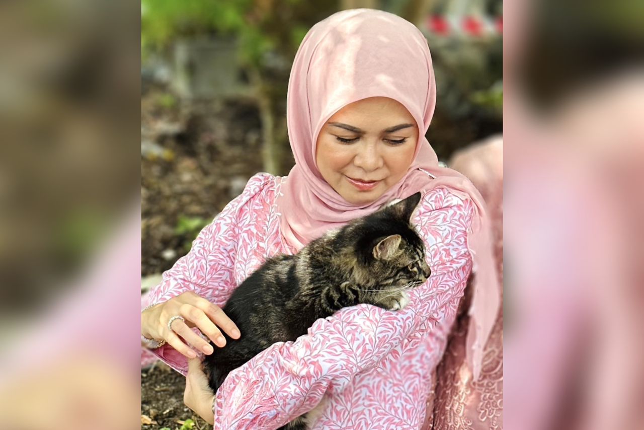 Selangor queen consort calls a halt to MBSA’s stray dog ‘catch and kill’ operation