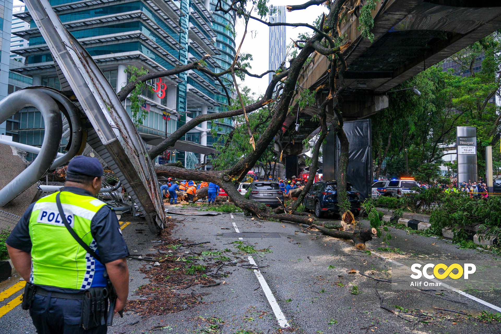 Authorities must be more proactive in maintaining trees, say commuters after fatal incident