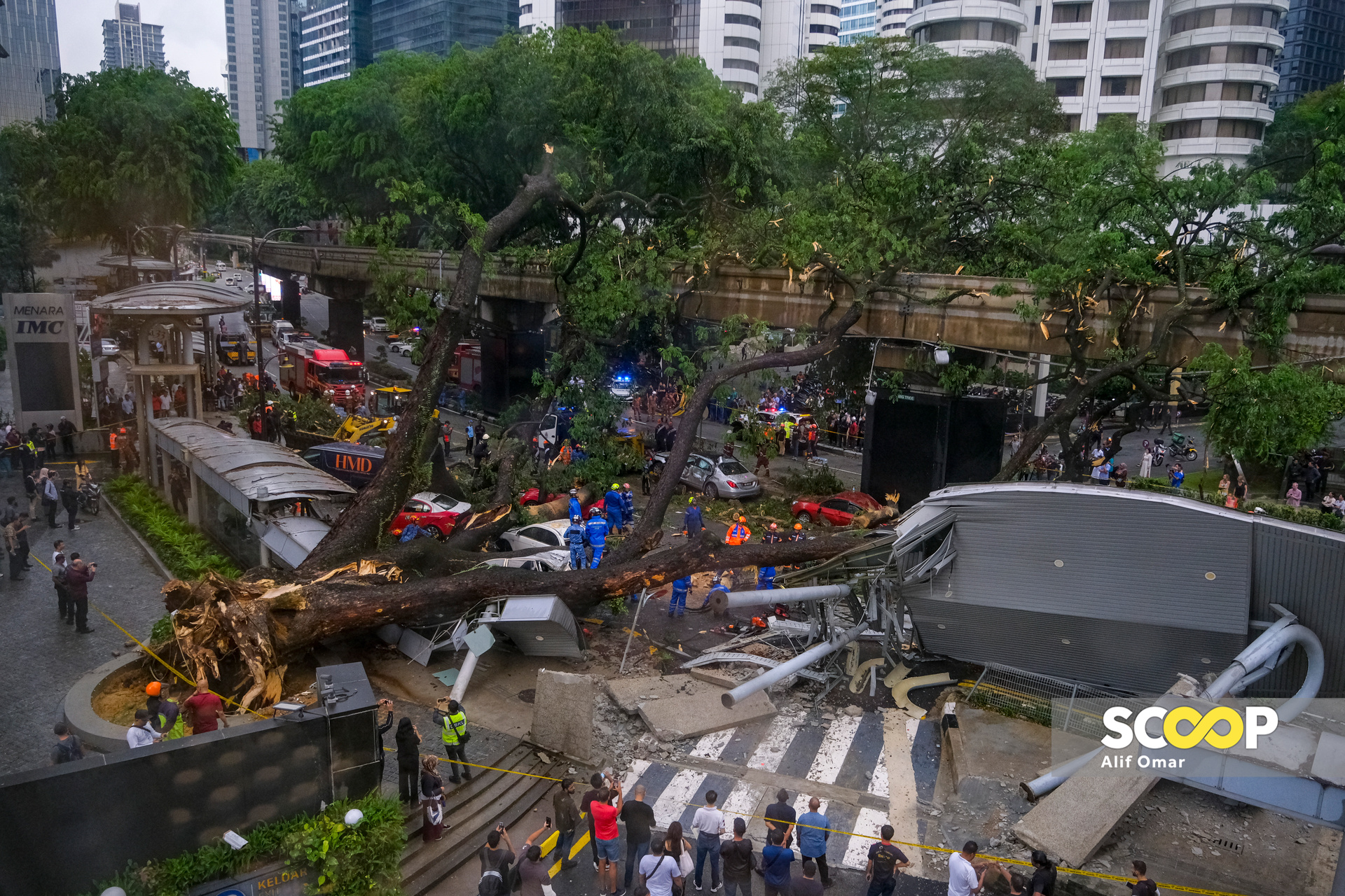 Photo of the day: Fatal fallen tree near Hotel Shangri-La leaves 17 vehicles damaged