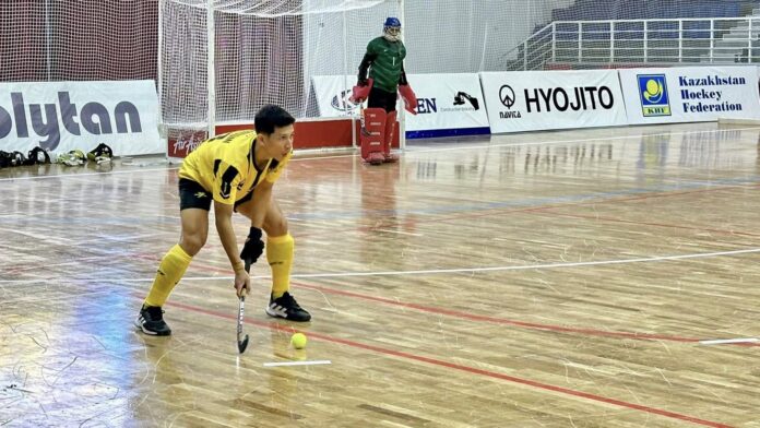 The national indoor hockey team secured qualification for the 2025 World Cup in May last year - MHC pic