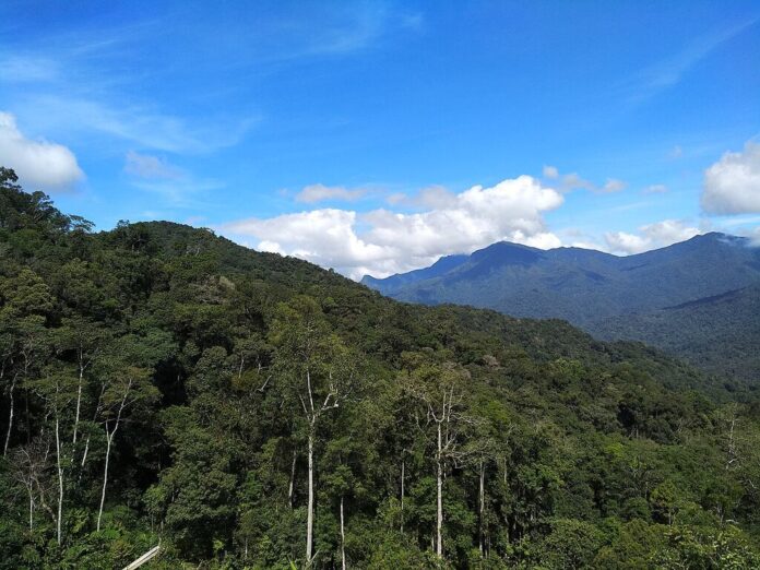 ayer hitam