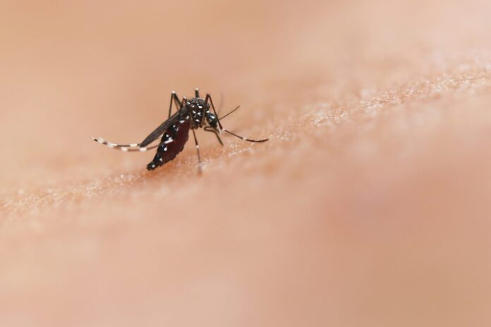 national-institute-of-allergy-and-infectious-diseases-Z2pq_4mj6BI-unsplash-scaled