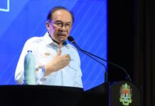 “We will not defend them”: Anwar greenlights Indonesia haze crackdown